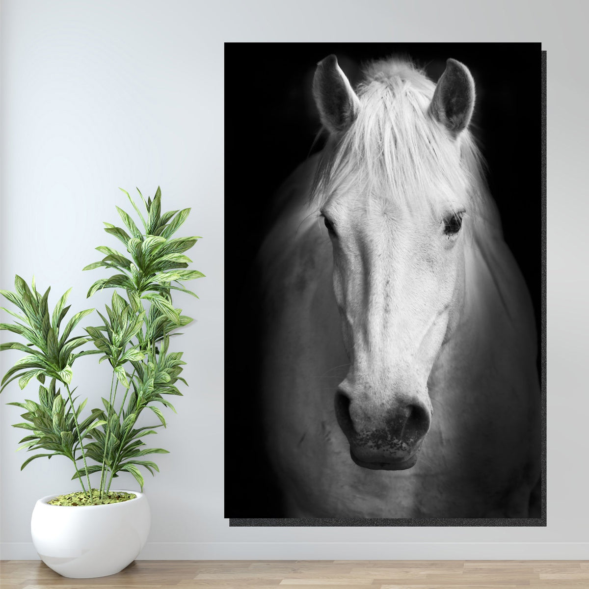 https://cdn.shopify.com/s/files/1/0387/9986/8044/products/AWhiteHorseCanvasArtprintStretched-4.jpg
