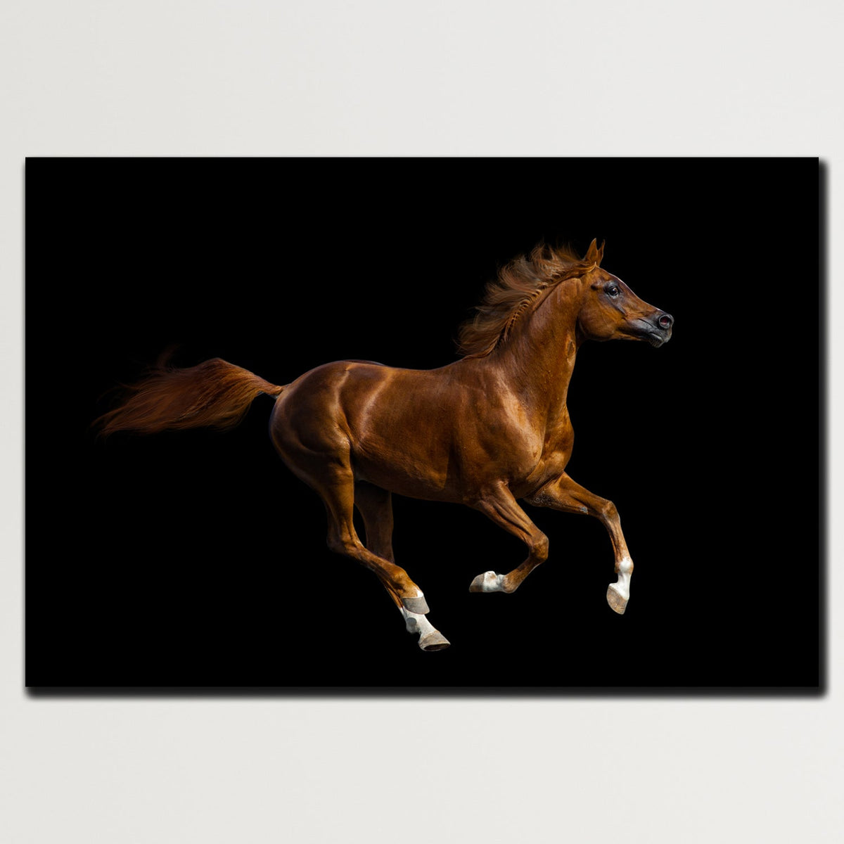 https://cdn.shopify.com/s/files/1/0387/9986/8044/products/ChestnutHorseCanvasArtprintStretched-Plain.jpg