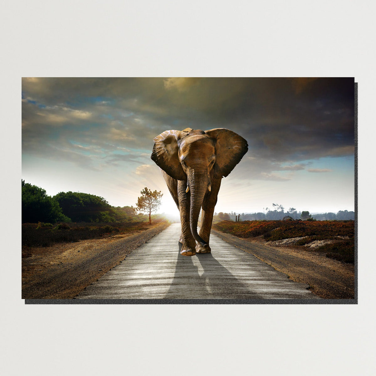 https://cdn.shopify.com/s/files/1/0387/9986/8044/products/ElephantJourneyCanvasArtprintStretched-plain.jpg