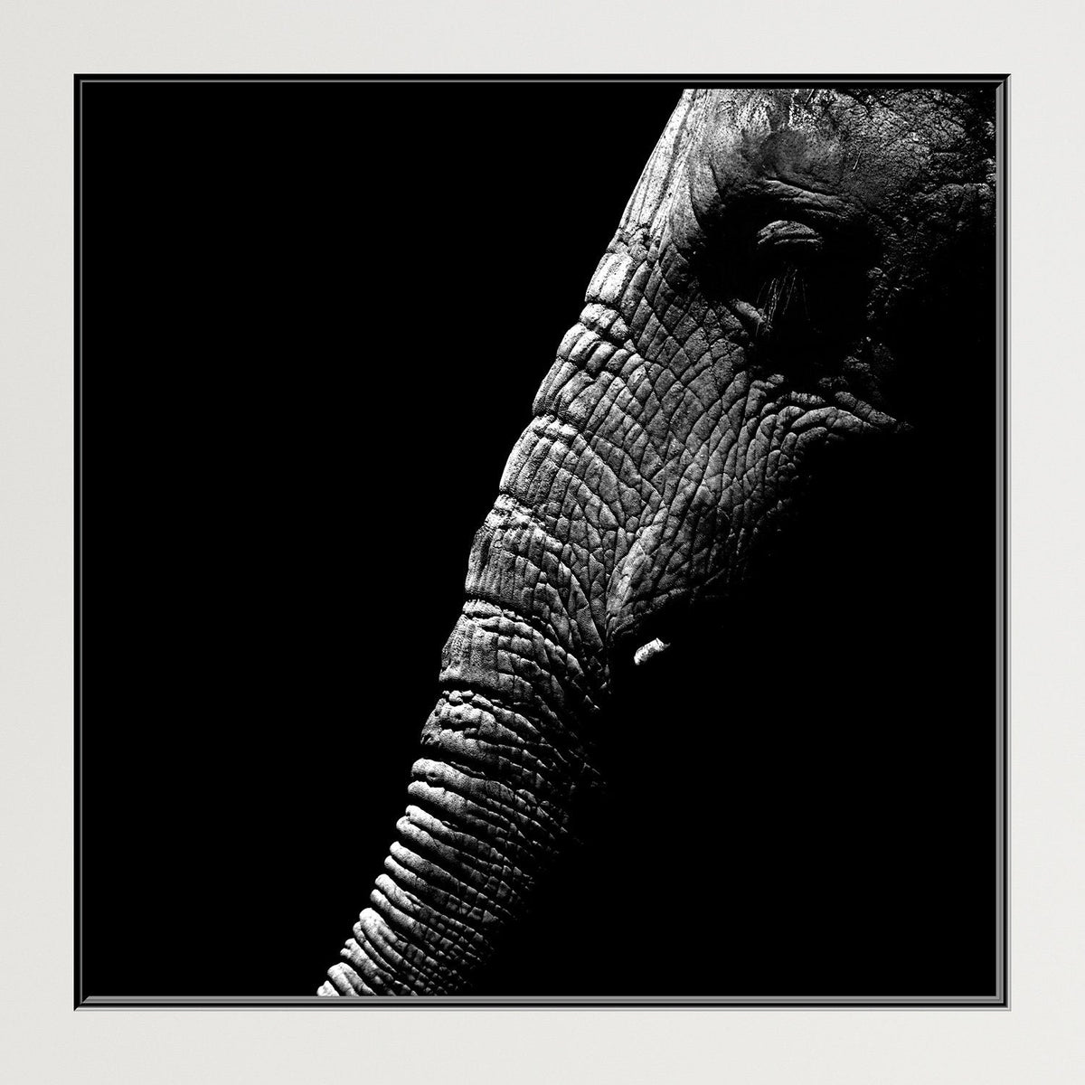 https://cdn.shopify.com/s/files/1/0387/9986/8044/products/ElephantTrunkCanvasArtPrintFloatingFrame-6.jpg