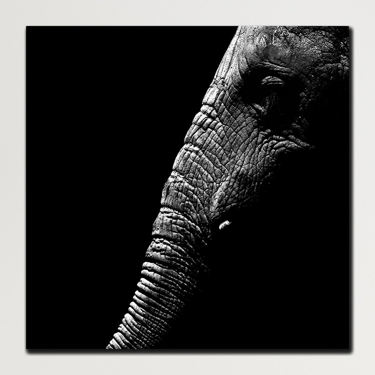 https://cdn.shopify.com/s/files/1/0387/9986/8044/products/ElephantTrunkCanvasArtPrintStretched-5.jpg