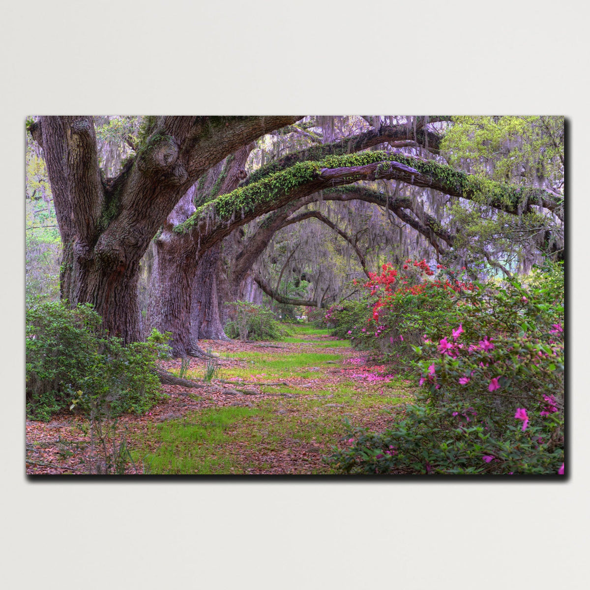 https://cdn.shopify.com/s/files/1/0387/9986/8044/products/ForestPathCanvasArtprintStretched-Plain.jpg