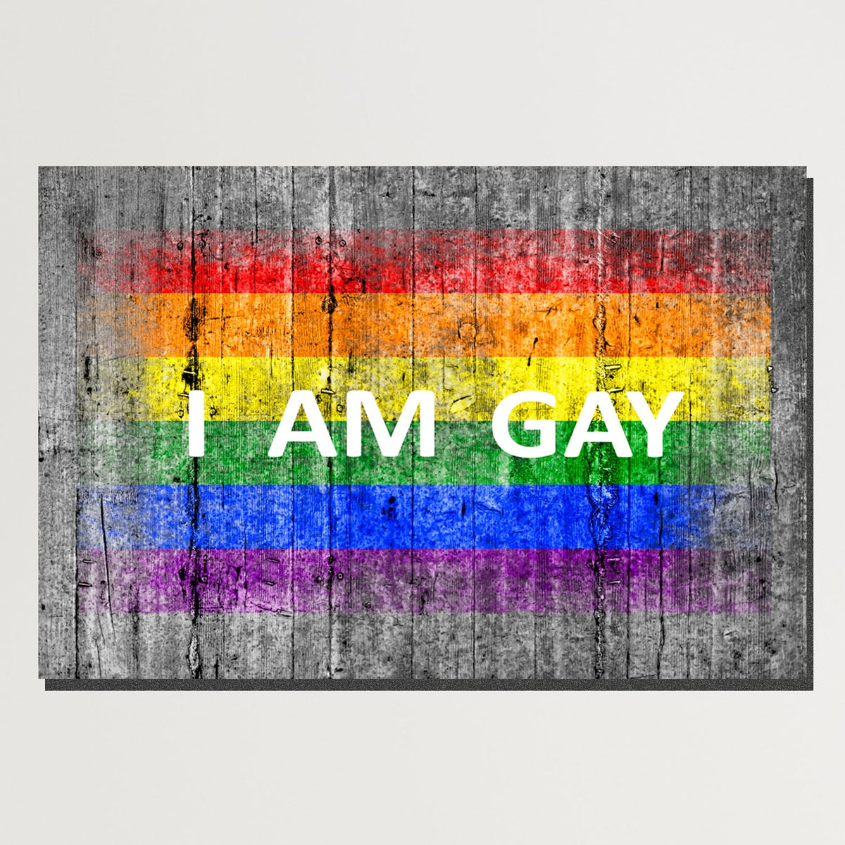 https://cdn.shopify.com/s/files/1/0387/9986/8044/products/IamGayCanvasArtprintStretched-Plain.jpg