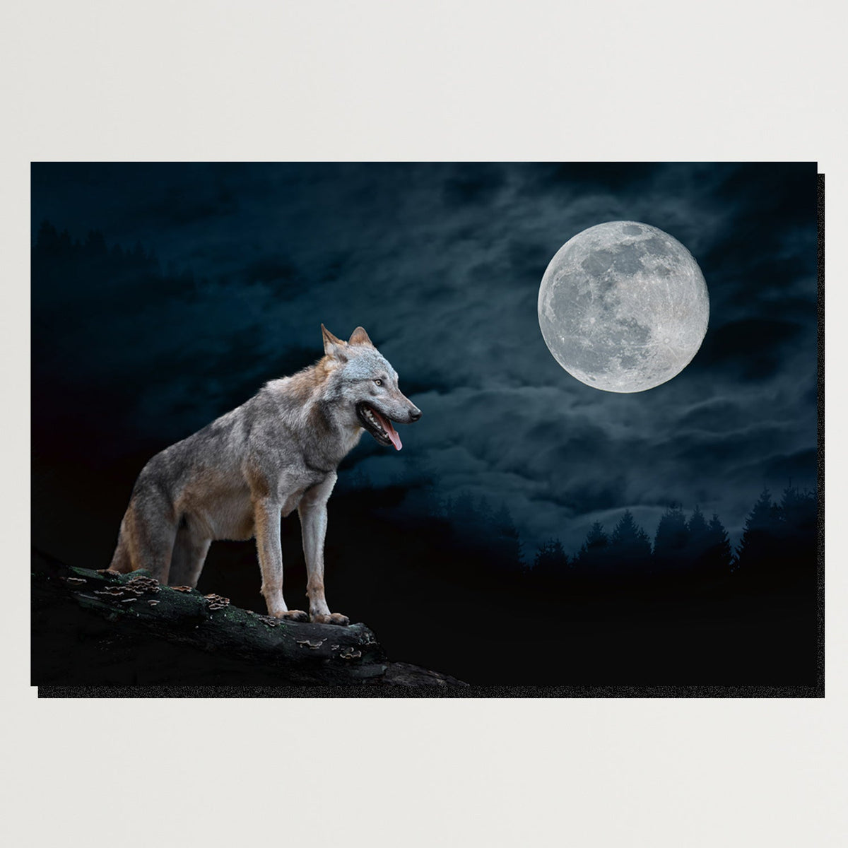 https://cdn.shopify.com/s/files/1/0387/9986/8044/products/NightWolfCanvasArtprintStretched-Plain.jpg