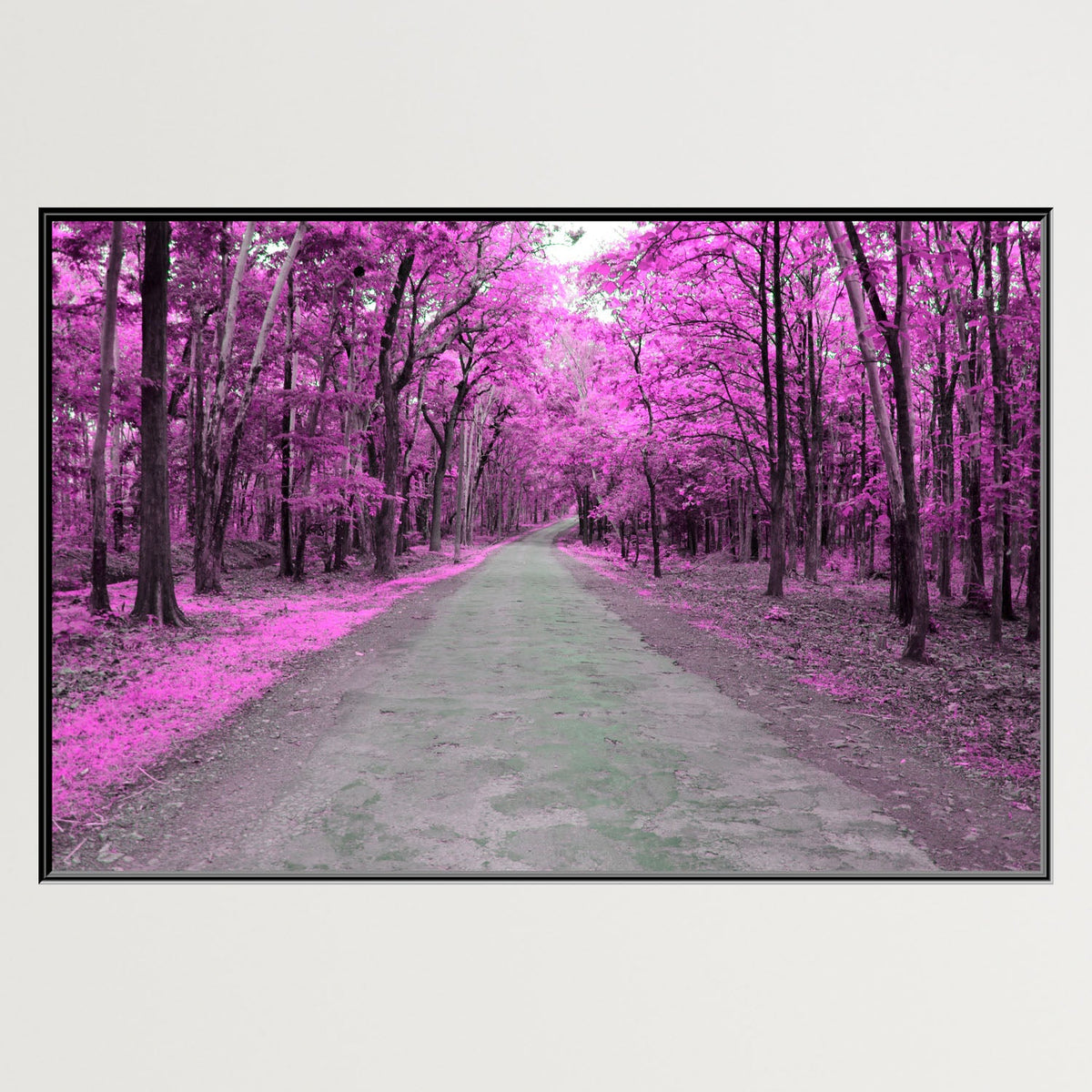 https://cdn.shopify.com/s/files/1/0387/9986/8044/products/PurpleForestTreesCanvasArtprintFloatingFrame-Plain.jpg