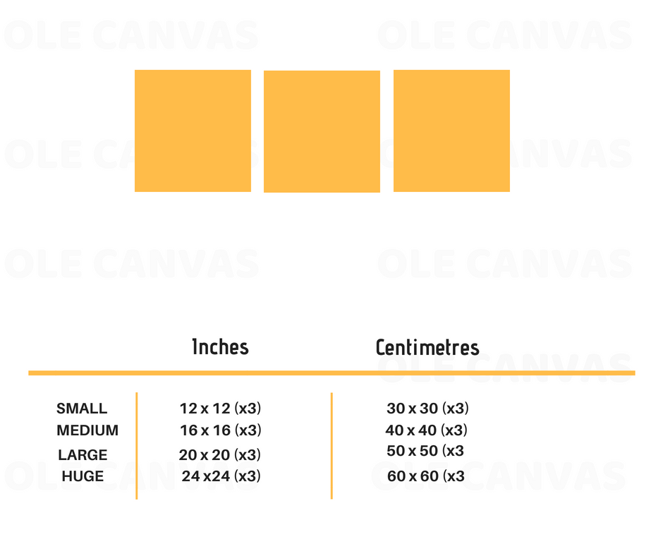 https://cdn.shopify.com/s/files/1/0387/9986/8044/products/Same_Size_Canvas_All_Sizes_Chart.png