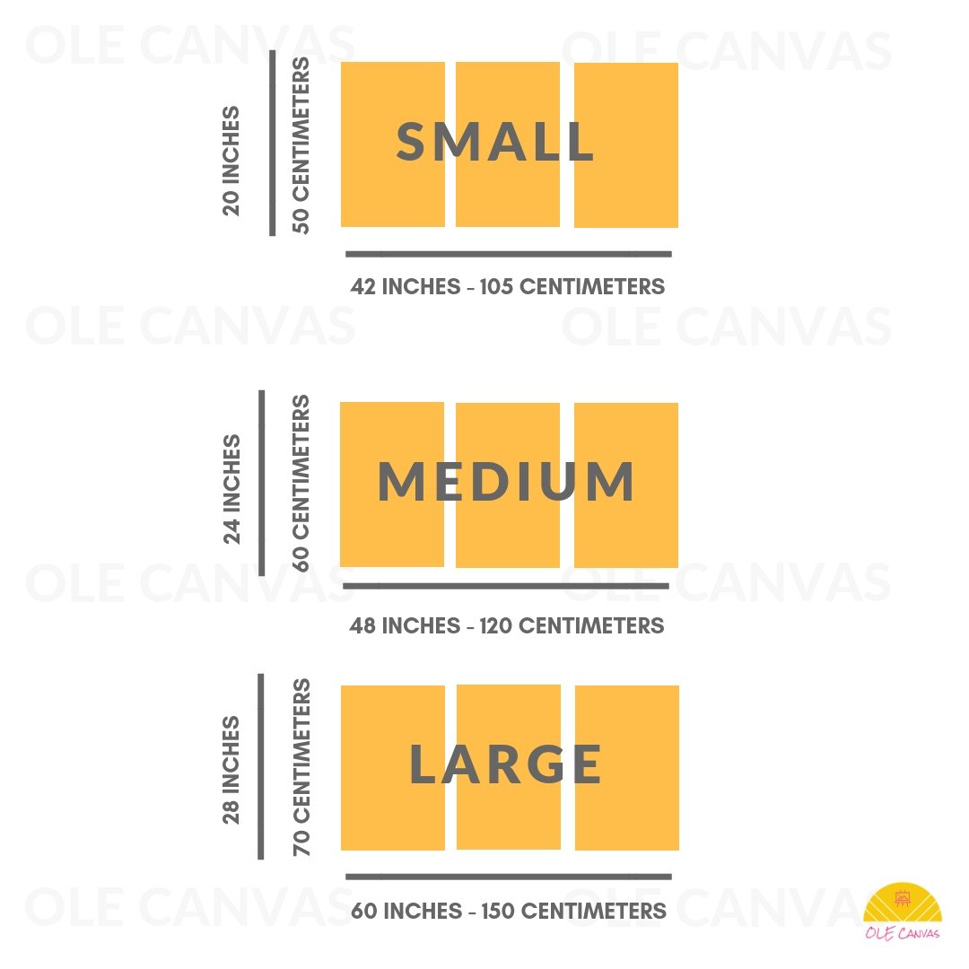 https://cdn.shopify.com/s/files/1/0387/9986/8044/products/Three_Panel_Across_Canvas_Size_Chart_98a2c06f-a99c-4bc6-b78a-755afb03019e.jpg