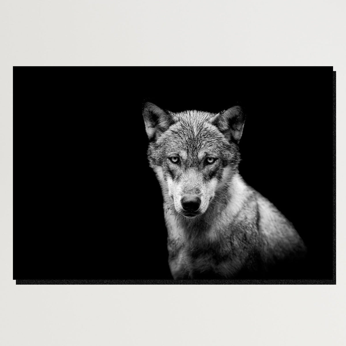 https://cdn.shopify.com/s/files/1/0387/9986/8044/products/YoungWolfCanvasArtprintStretched-Plain.jpg